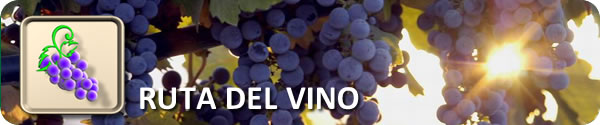 La Ruta del Vino en Baja California