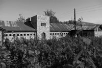 Descubra la vinicola mexicana Casa de Piedra