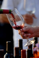 Se busca ayudo para estudios sobre vinos mexicanos